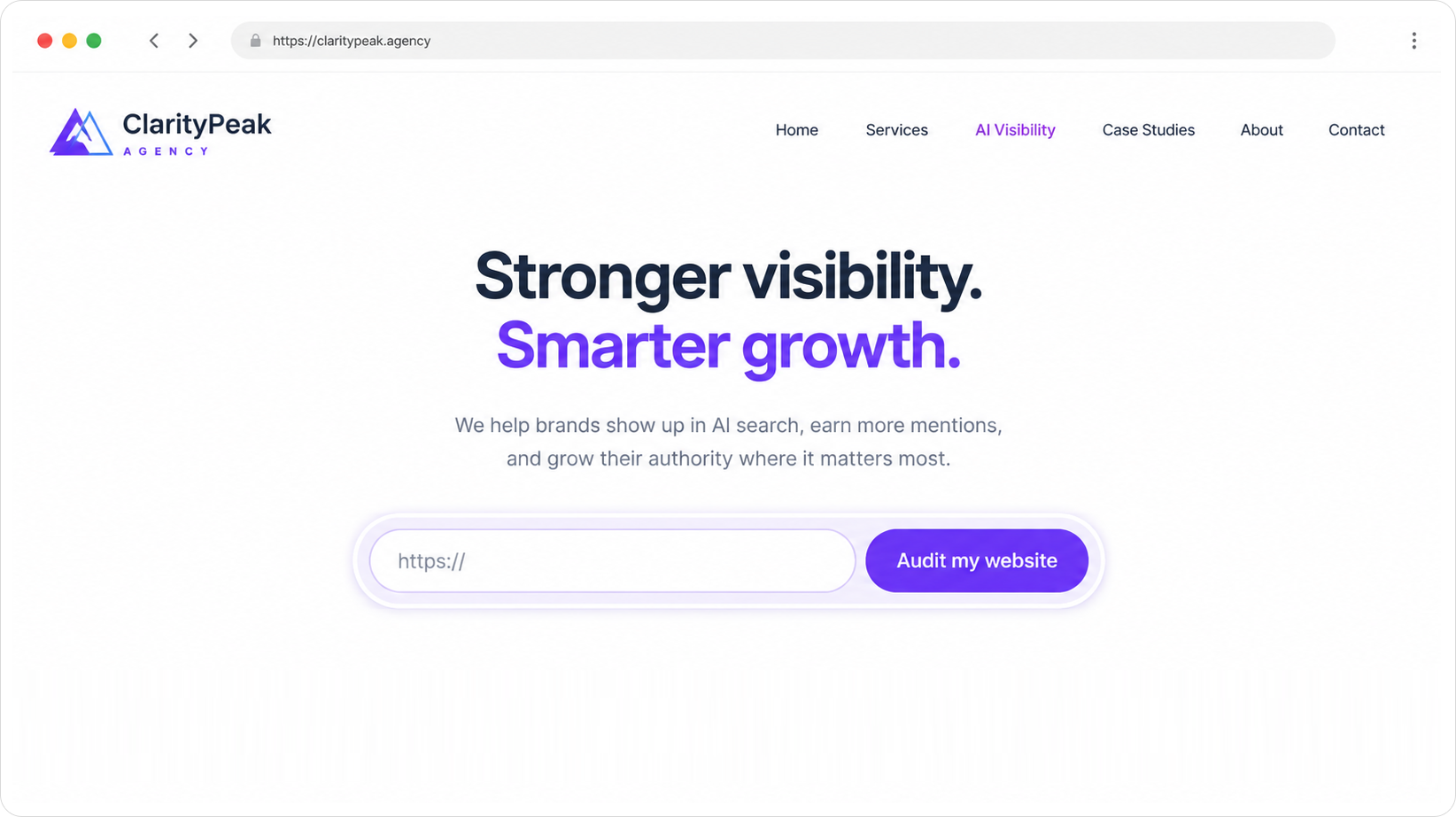 White-label lead generation audit report for a website visitor