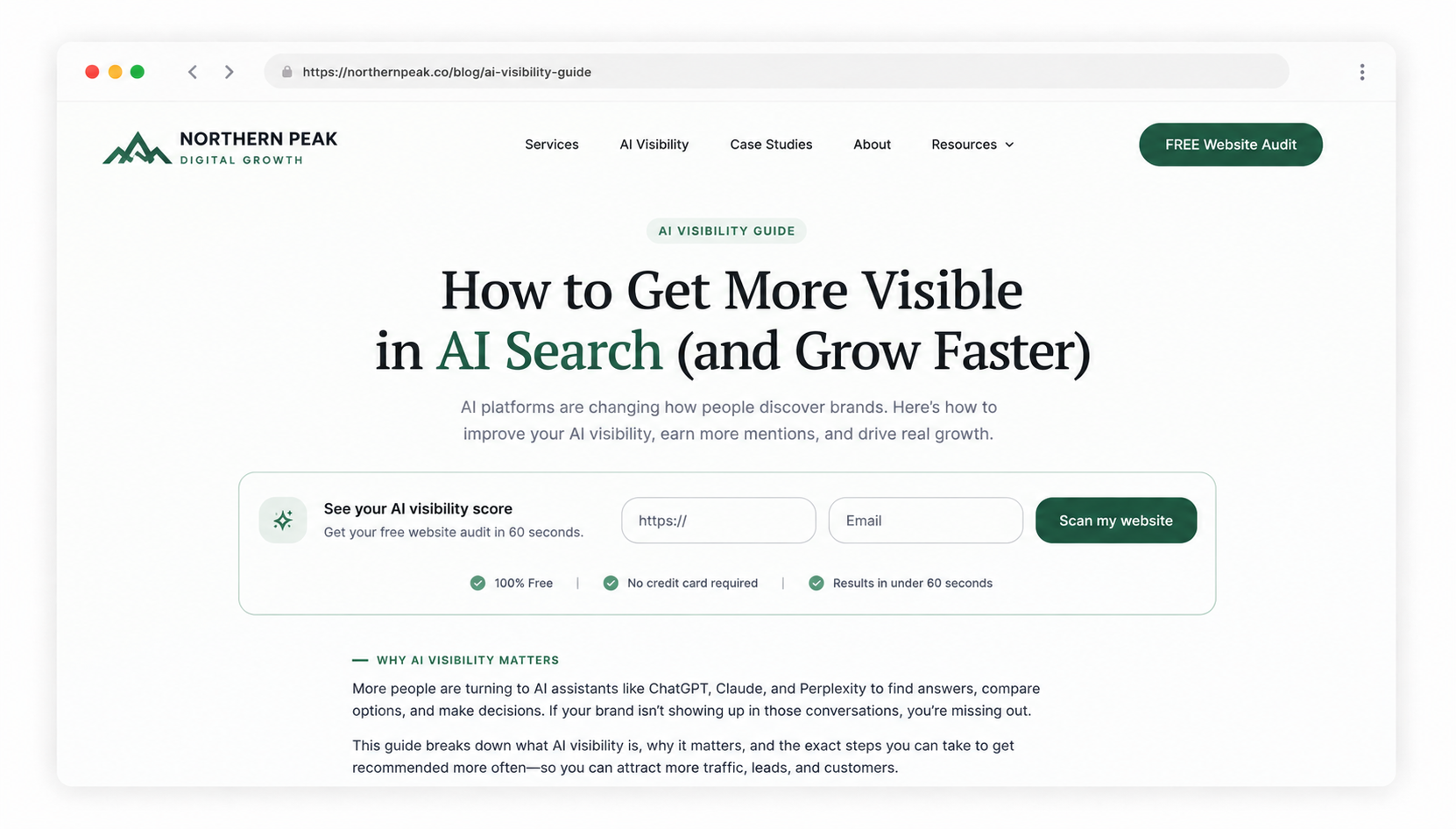 Blog White Label Website Audit Tool