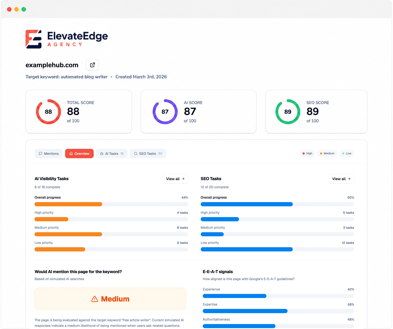 White Label AI Website Audit Overview