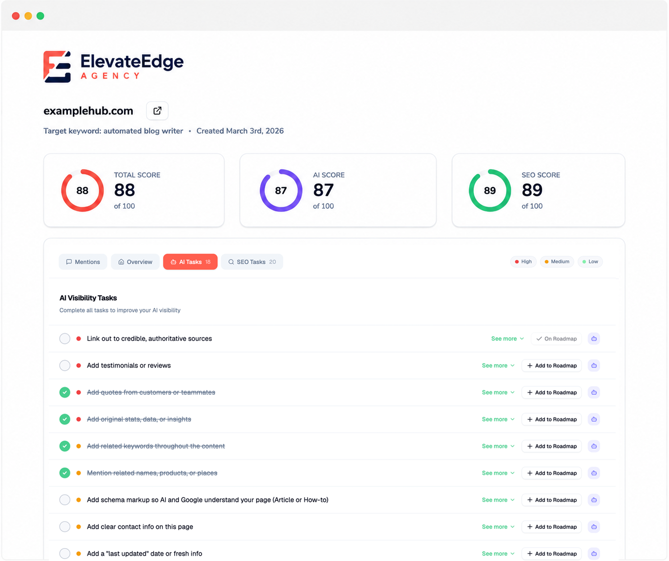 White Label AI Website Audit Tasks